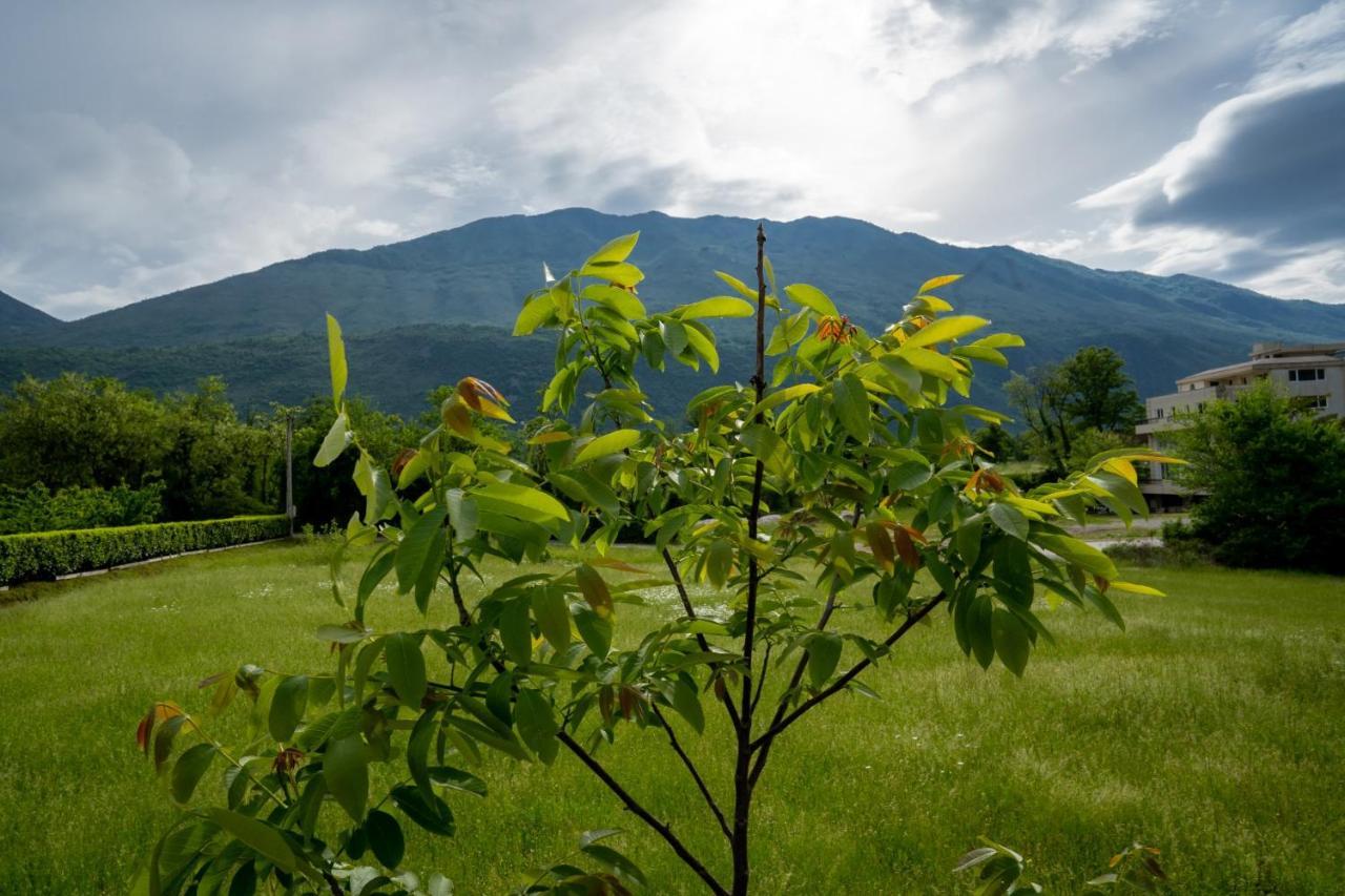 Seosko Domacinstvo Jovanovic Danilovgrad Extérieur photo