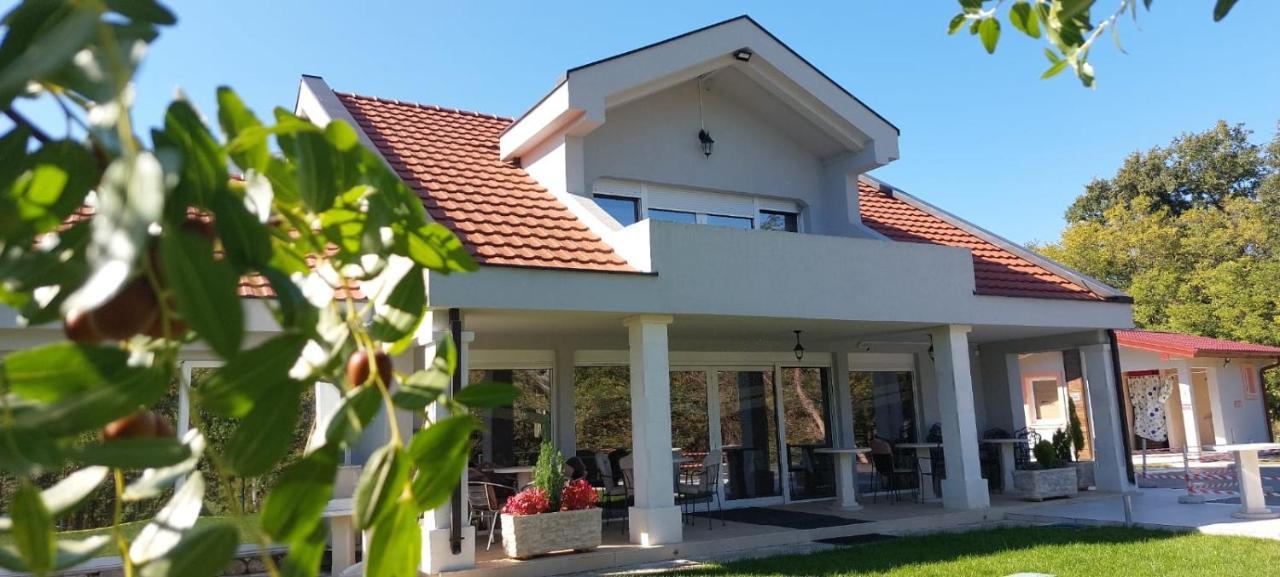 Seosko Domacinstvo Jovanovic Danilovgrad Extérieur photo